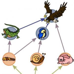 CIENCIA DIVERTIDA
