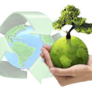 "Taller de Medio Ambiente"