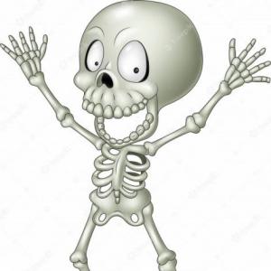 El esqueleto Humano 