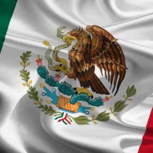 Nivel 1 Los primeros años de vida independiente