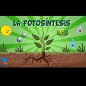 La fotosíntesis