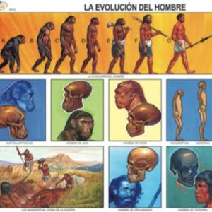 Imagen de portada del videojuego educativo: Evolución humana., de la temática Biología