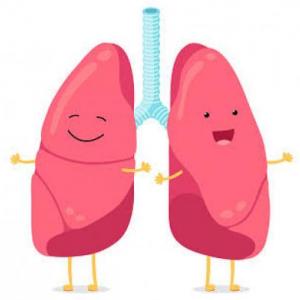 Aparato respiratorio 