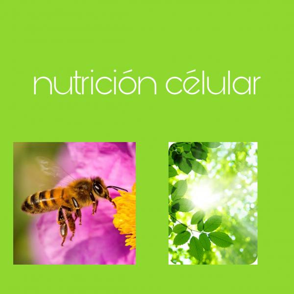 Nutrición celular