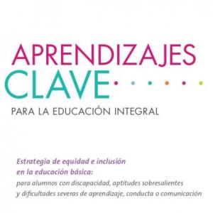 INCLUSIÓN