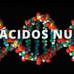 Coincidencias Nucleicas