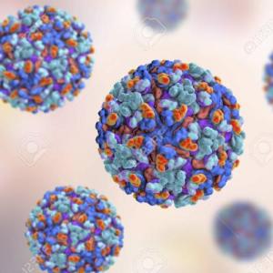 ARBOVIRUS