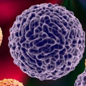 ARBOVIRUS
