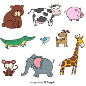 TARJETAS DE MEMORIA ANIMAL