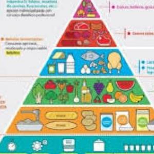 Juego la pirámide alimenticia 