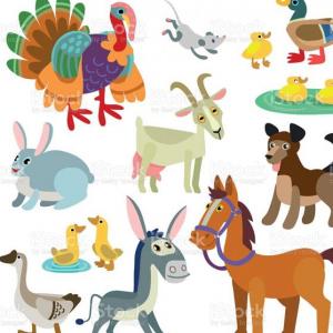 ANIMALES DOMÉSTICOS