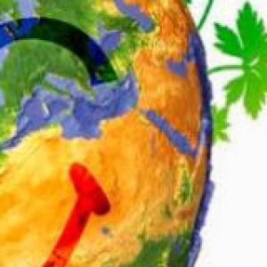 Concéntrate con la tierra 