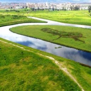 Bogota River 