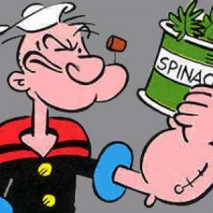 Oca de Nutrición