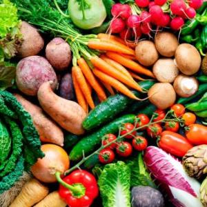 LAS VERDURAS