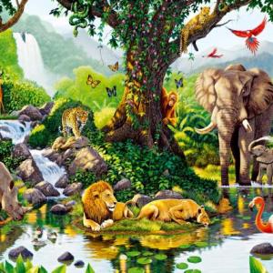 BUSCAMOS LOS ANIMALES SALVAJES