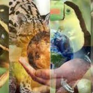 Cambio Climático y Biodiversidad.