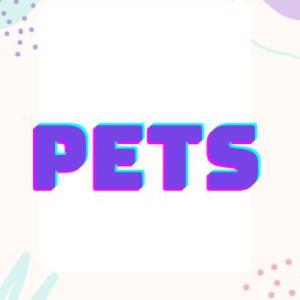 PET'S MEMORY GAME
