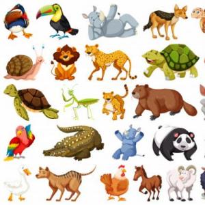 Animales