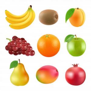 los alimentos