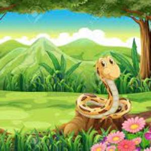 VIAJE DE LA VÍBORA