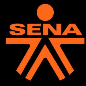Portada del juego DICCIONARIO SENA – Cultura general
