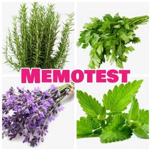 Memotest de Plantas Aromáticas