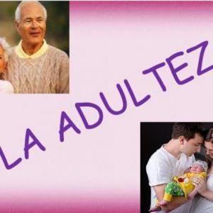 Adultez