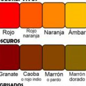 colores