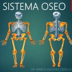 Imagen de portada del videojuego educativo: MEMORAMA DEL SISTEMA ÓSEO, de la temática Ciencias