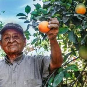 Cuestionario Nº2