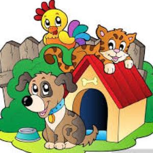ANIMALES DOMÉSTICOS