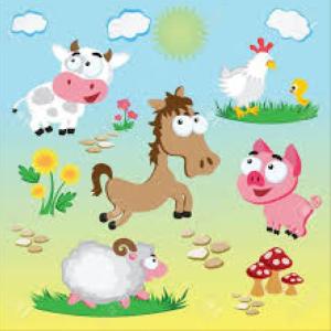 PETS & FARM ANIMALS