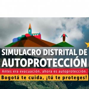 Imagen de portada del videojuego educativo: SIMULACRO DE AUTOPROTECCIÓN 2020, de la temática Seguridad