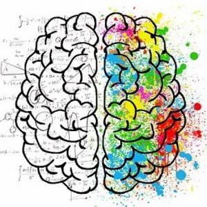 Psicología social de la educación