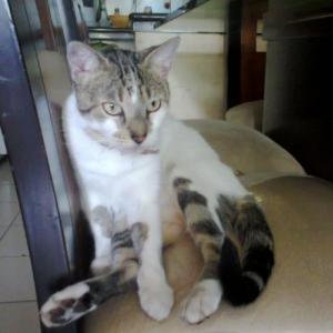 Amy Melissa Arias Maldonado