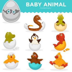 Tarjetas con animales ovíparos