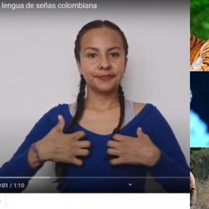 Los animales