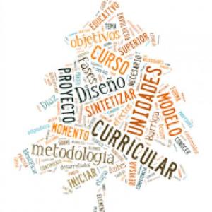 DISEÑO CURRICULAR EDWIN CATACORA ZABALAGA