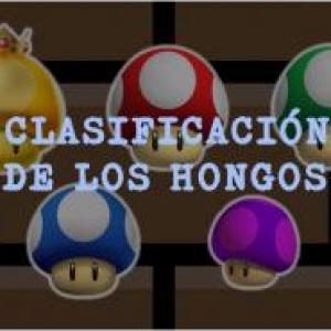 Clasificación de los hongos