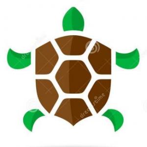 El juego de las Tortugas