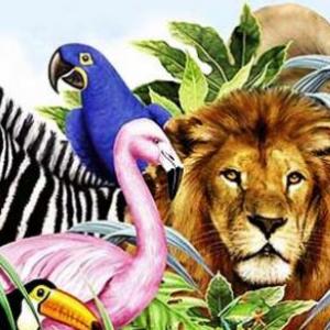 “Relaciones en los Ecosistemas”.