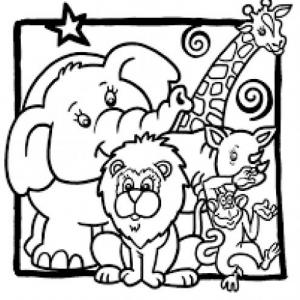 ANIMALS LIKES AND DISLIKES