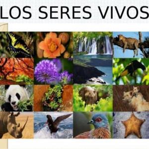 ¿Cuánto sabes sobre los seres vivos?