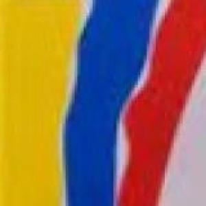 artículos 229 al 266 constitución Colombia