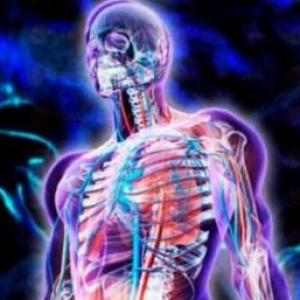 PARTES DEL CUERPO