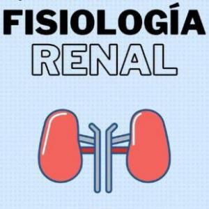APARATO URINARIO GUÍA No. 19 FISIOLOGÍA RENAL
