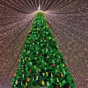 Mi primera navidad