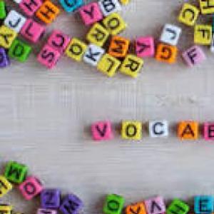 Vocabulary