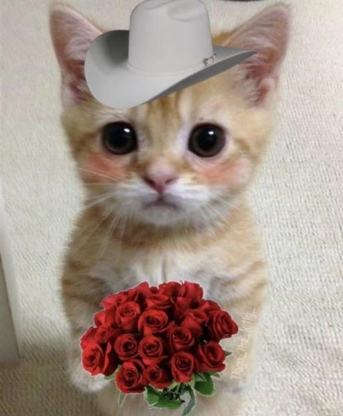 Para ti de mi?